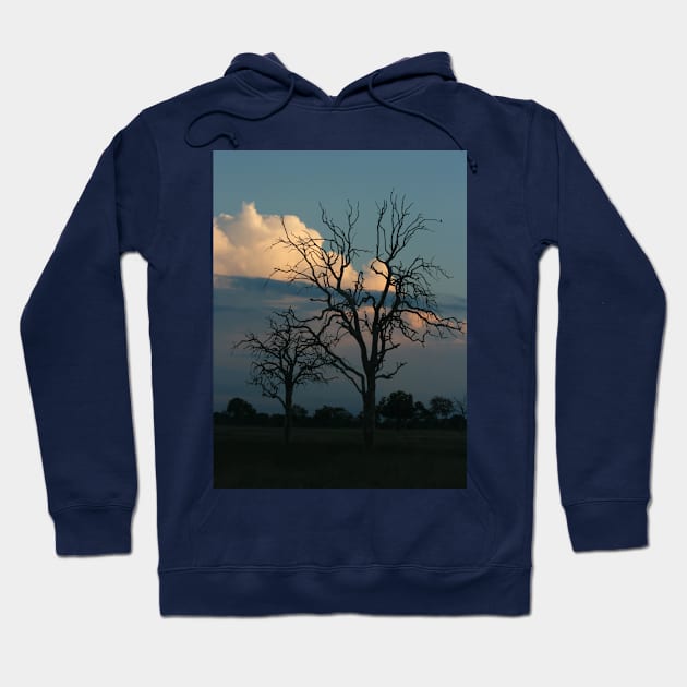 African Trees Nightfall Hoodie by KarenZukArt